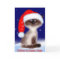 Santa Claws Cat