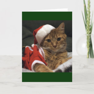 Santa Claws Holiday Card