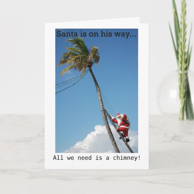 Santa Climbing Palm Tree Holiday Card (Front)