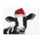 Santa Cow - Dairy Cow wearing Santa Hat