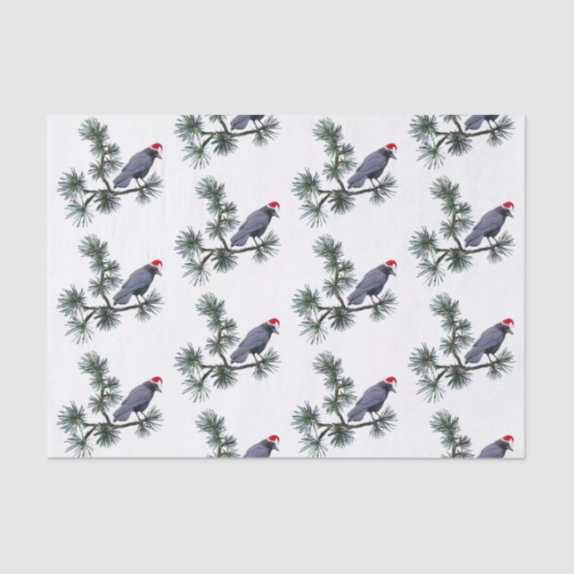 Santa Crow in Pine Tissue Paper (Front)