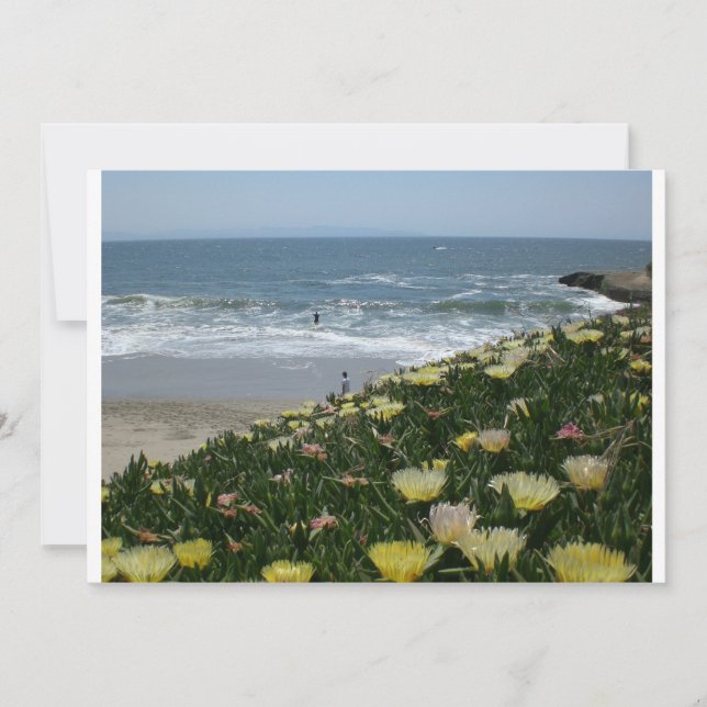Santa Cruz beaches (Front)