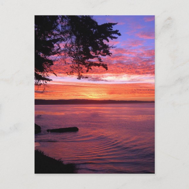 Santa Cruz, CA. Sunrise Postcard (Front)