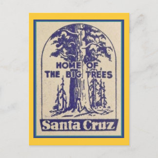 Santa Cruz California - Home of the Big Trees Postcard