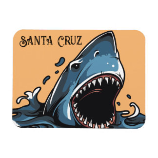 Santa Cruz, California Kitchen Magnet