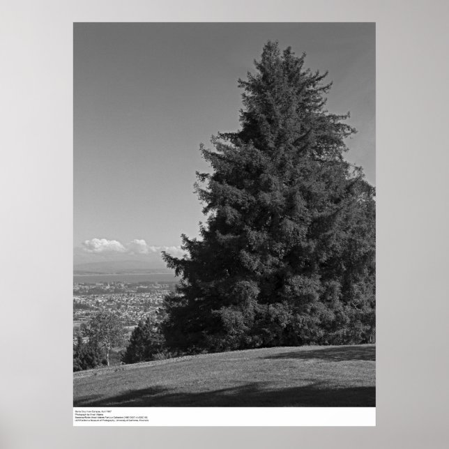 Santa Cruz from Campus, April 1967 Poster (Front)