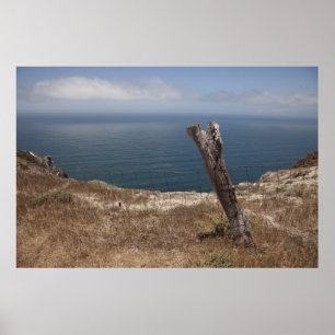 Santa Cruz Island Series 10 Poster