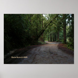 Santa Cruz Mountain Road Print - Select Your Frame