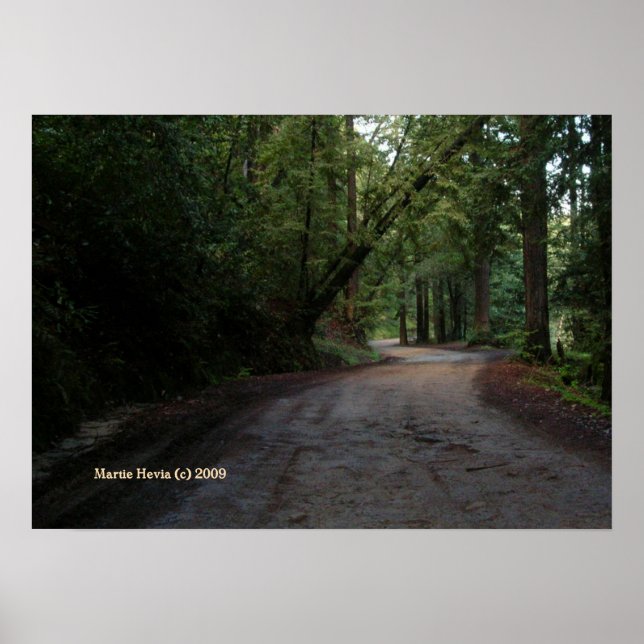 Santa Cruz Mountain Road Print - Select Your Frame (Front)