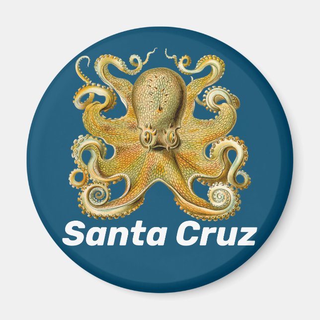 Santa Cruz refrigerator magnet (Front)