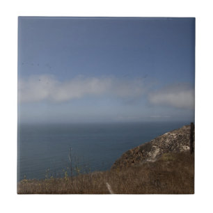 Santa Cruz Series 2 Tile