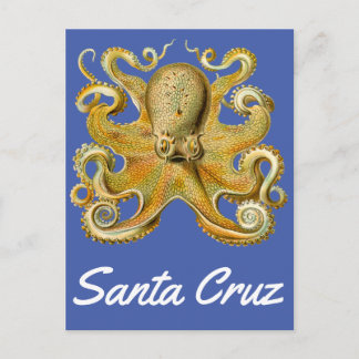 Santa Cruz vintage Octopus Postcard