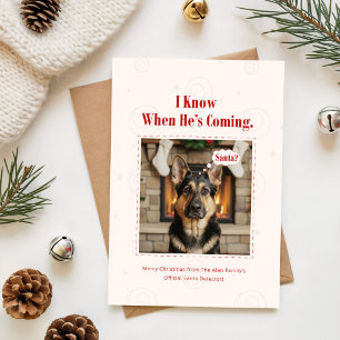 Santa Cute Photo Family Dog Christmas Holiday Card