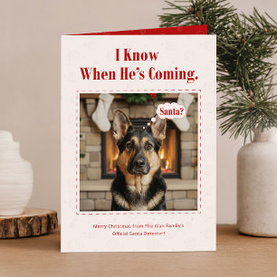 Santa Detective Cute Funny Dog Christmas Holiday Card