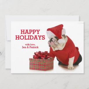 Santa Dog - English Bulldog Dressed Like Santa Holiday Card
