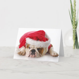 Santa Dog Holiday Card