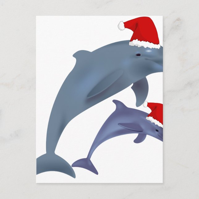 santa dolphins holiday postcard (Front)
