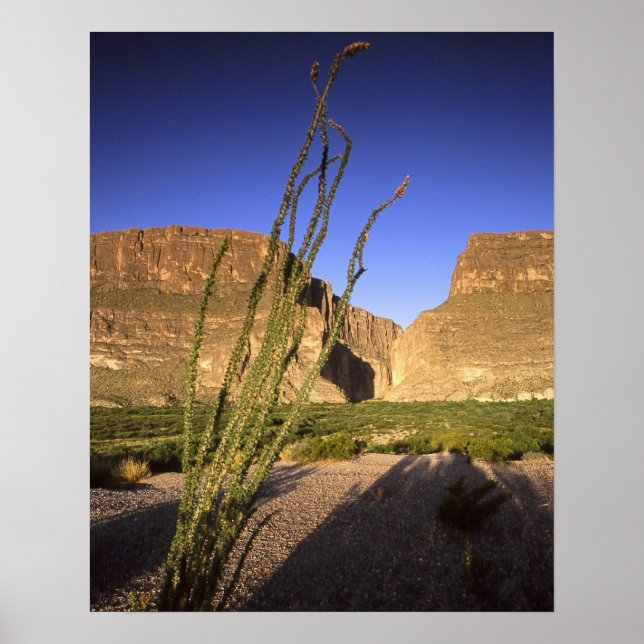 Santa Elena Canyon Poster (Front)