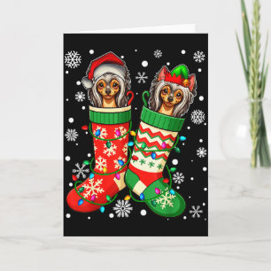 Santa Elf Chinese Crested Dog In Christmas Socks M Card