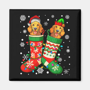 Santa Elf Golden Retriever Dog In Christmas Socks  Magnet