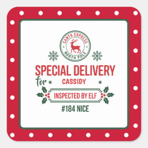 Santa Express Reindeer express delivery dotted Square Sticker