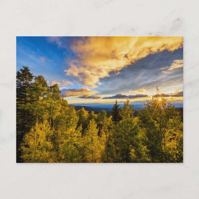 Santa Fe National Forest at Sunset in Autumn Postcard (Front)