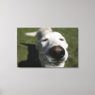 Santa Fe, New Mexico Canvas Print