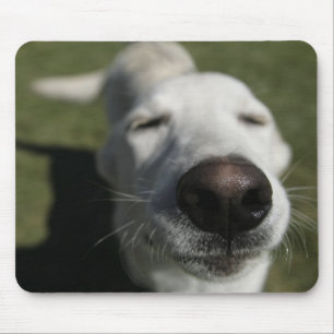 Santa Fe, New Mexico Mouse Pad