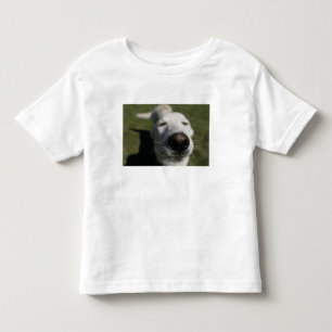 Santa Fe, New Mexico Toddler T-Shirt