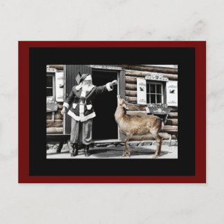 Santa Feeds His Reindeer Postcard