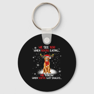 Santa Golden Retriever Reindeer Light Christmas Pa Key Ring