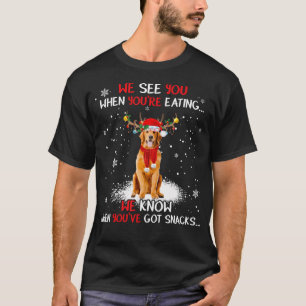 Santa Golden Retriever Reindeer Light Christmas T-Shirt