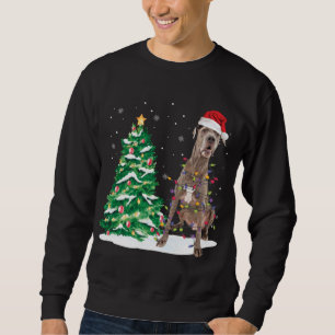 Santa Great Dane Dog Christmas Tree Light Funny Xm Sweatshirt