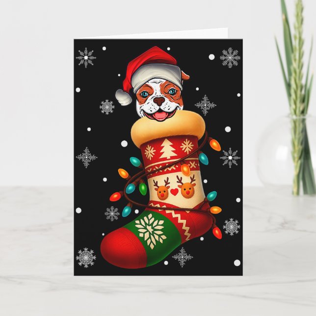 Santa Hat American Bulldog Dog In Christmas Socks  Card (Front)