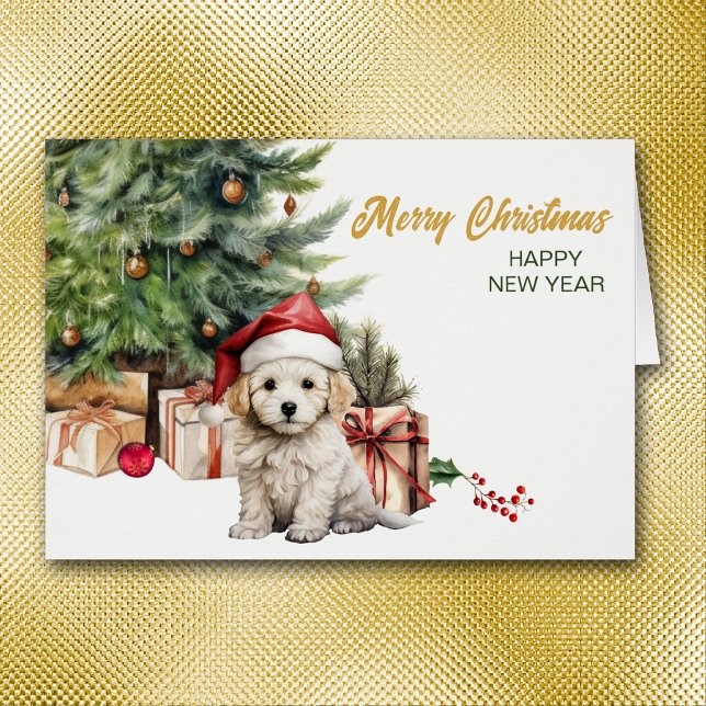Santa Hat Bichon Frise Puppy Dog Christmas (Creator Uploaded)