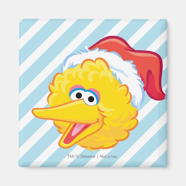 Santa Hat Big Bird Magnet (Front)