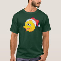 Santa Hat Big Bird