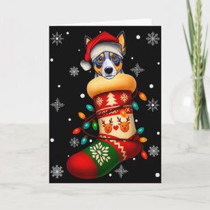 Santa Hat Blue Heeler Dog In Christmas Socks Men W Card