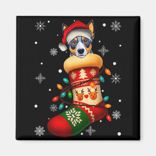 Santa Hat Blue Heeler Dog In Christmas Socks Men W Magnet