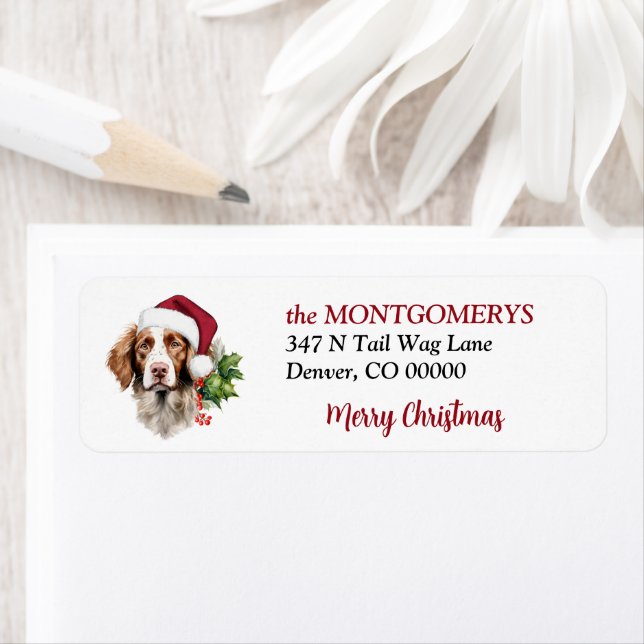 Santa Hat Brittany Dog Christmas Return Address (Insitu)