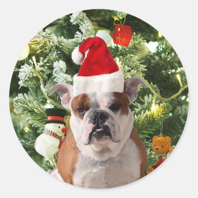 Santa Hat Bulldog Christmas Tree Snowman Gift Box Classic Round Sticker (Front)