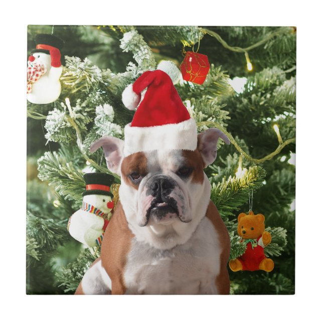Santa Hat Bulldog Christmas Tree Snowman Gift Box Tile (Front)