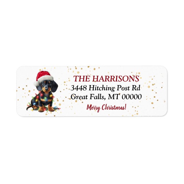 Santa Hat Dachshund in Lights Return Address (Front)