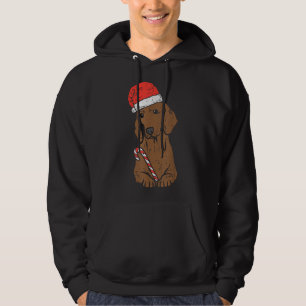 Santa Hat Dachshund Wiener Dog Christmas Xmas Hoodie