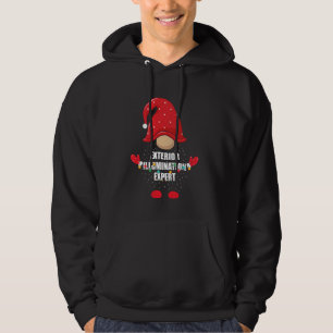 Santa Hat Exterior Illumination Expert Christmas A Hoodie