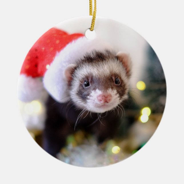 Santa Hat Ferret Christmas Ornament (Front)