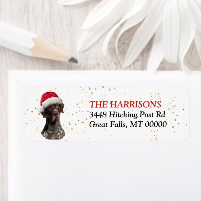 Santa Hat German Shorthair Pointer Return Address (Insitu)