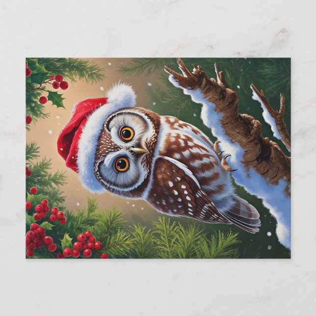 Santa Hat Owl Postcard (Front)