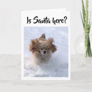 "SANTA HERE YET" CAN'T WAIT TO SAY MERRY CHRISTMAS CARD