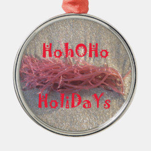 Santa HoHoHo Merry Christmas From Beach colours Metal Tree Decoration